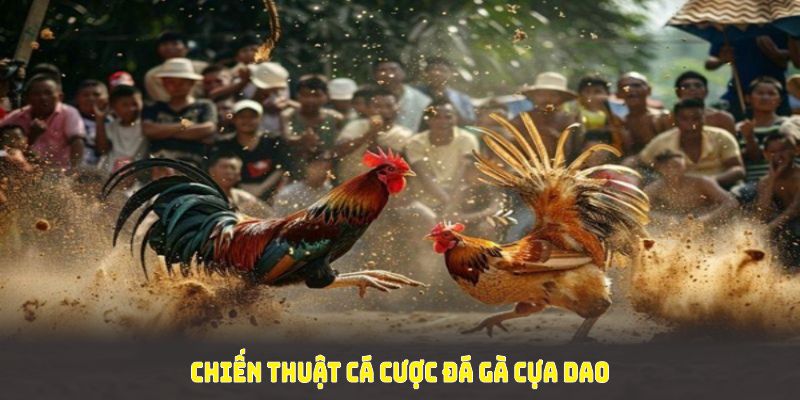 Chiến thuật cá cược đá gà cựa dao