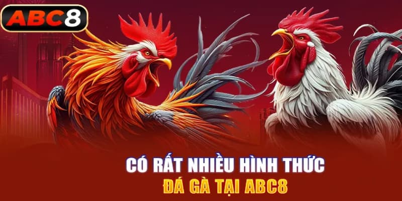 Các hình thức cược đá gà abc8 phổ biến