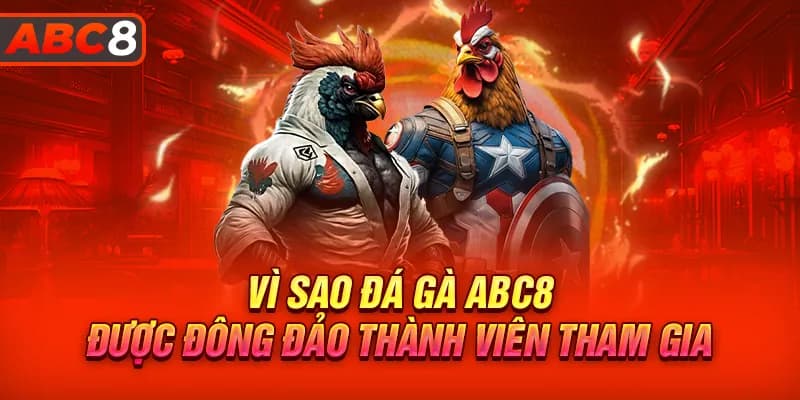 Khám phá những đặc điểm của đá gà abc8